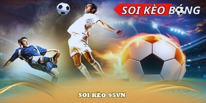 Soi kèo 95vn